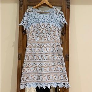 Eliza J baby blue lace dress